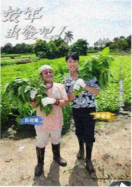 惊人的星期六